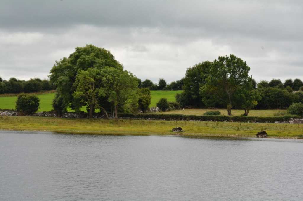 DSC_6287Mittel_.JPG